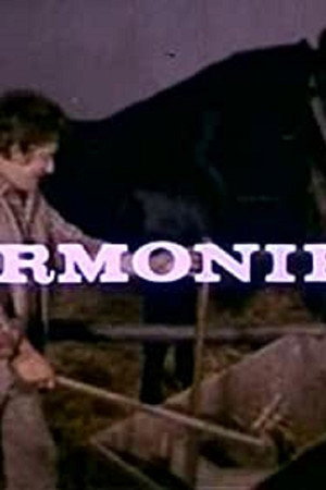 Harmonika