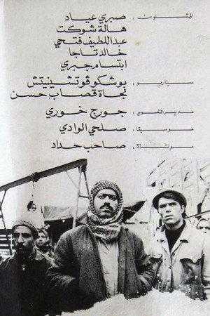 سائق الشاحنة