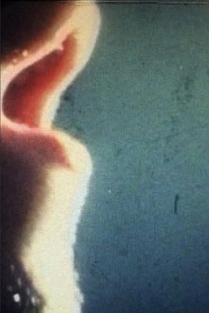 Tetraplan 64