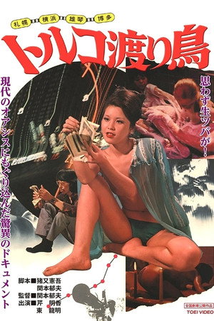 土耳其浴室候鸟记