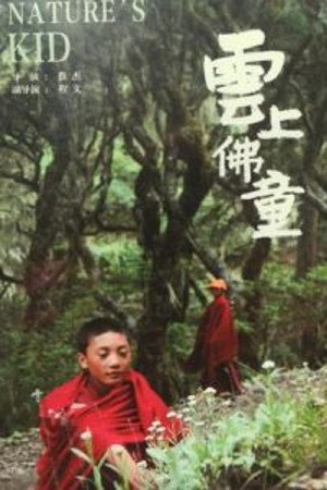 云上佛童