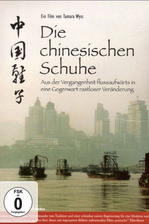 中国鞋子