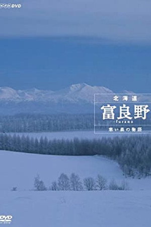 北海道 富良野 寒い森の物語
