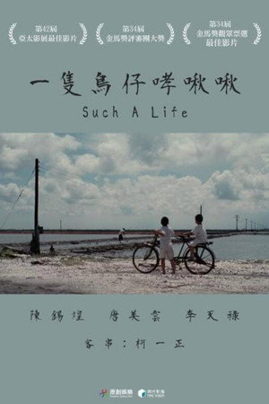 一只鸟仔哮啾啾