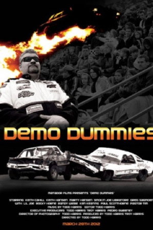 Demo Dummies