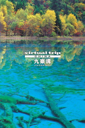 实境之旅：九寨沟
