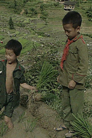 龙脊