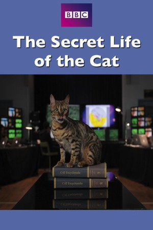 地平线系列:猫的秘密生活