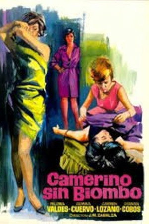 Camerino sin biombo