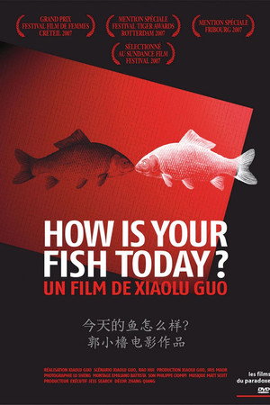 今天的鱼怎么样？