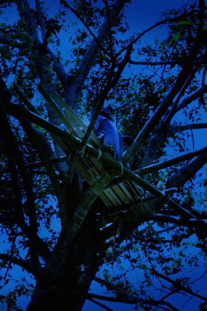 Forest Spirit