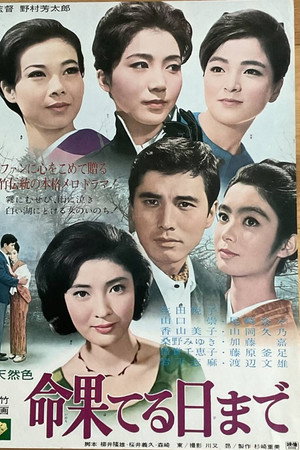 命果てる日まで