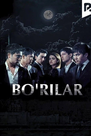 Bo'rilar
