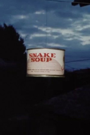 Snake Soup