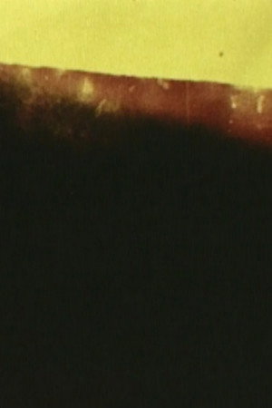 The Distance Between Here and There