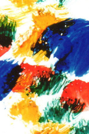Rainbow Diary