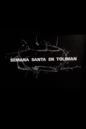 Semana Santa en Tolimán