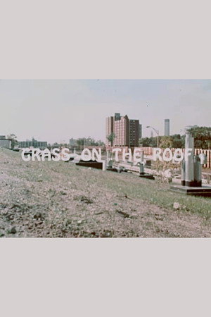 Grass on the Roof