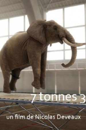 7 Tonnes 2