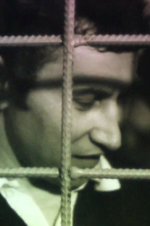 Чемпион номер один