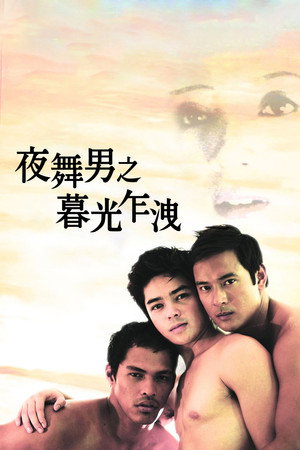夜舞男之暮光乍泄