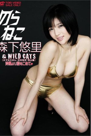 のらねこ 森下悠里 & WILD CAT’S/かでなれおん・中村知世・秋山優 沖縄より愛をこめて