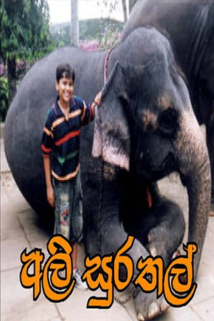 අලි සුරතල්