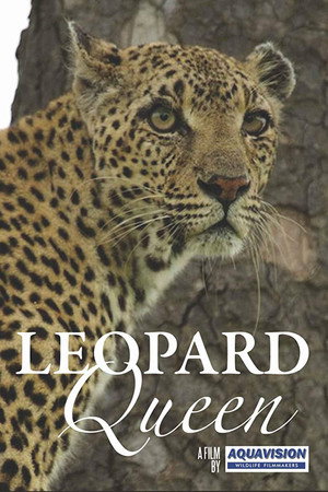 Leopard Queen