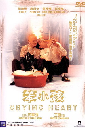 笨小孩