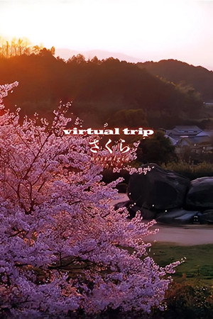 实境之旅:怀之樱