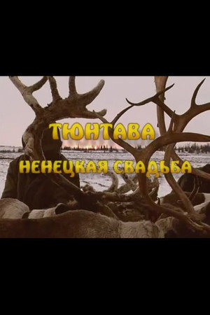 Тюнтава. Ненецкая свадьба