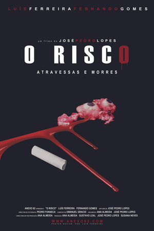 O Risco