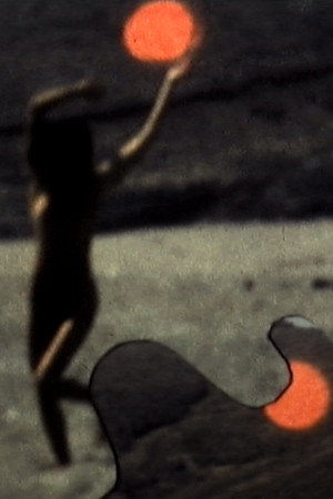 Néroïcal