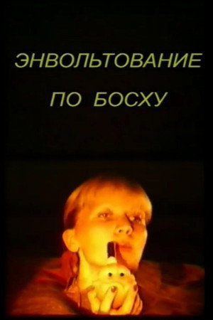 Энвольтование по Босху