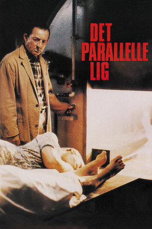 Det parallelle lig