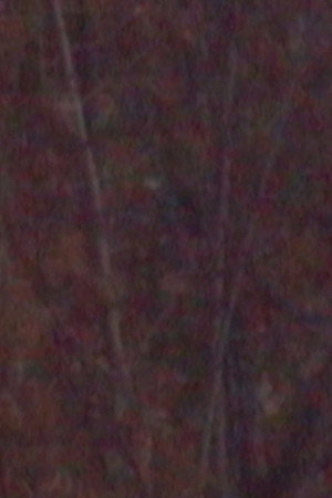 November