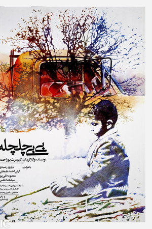 بی‌بی چلچله