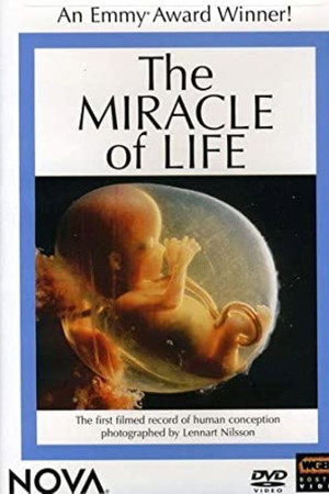 The Miracle of Life