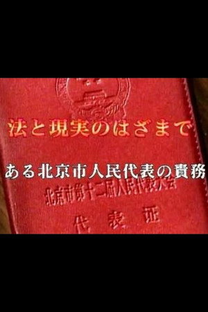 BSドキュメンタリー「法と現実のはざまで～ある北京人民代表の責務～」