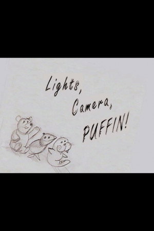 Elf: Lights, Camera, Puffin!