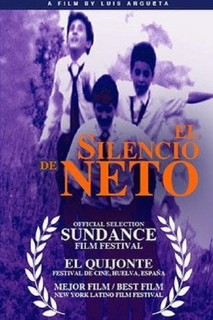 Los orígenes del silencio