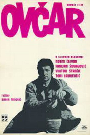 Ovčar
