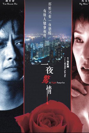 一夜驚情