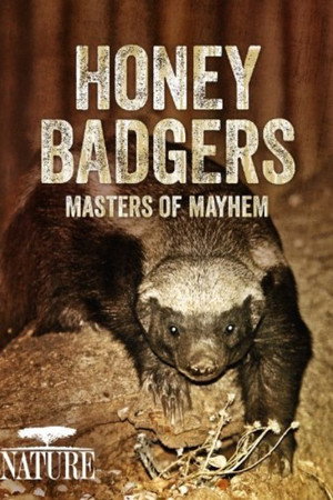 Honey Badgers: Masters of Mayhem