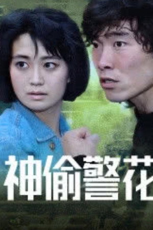 神偷警花