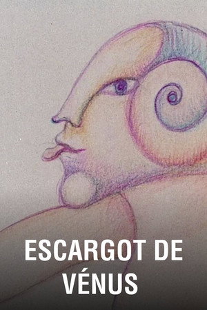 Escargot de Vénus