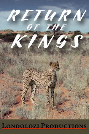 The Return of the Kings