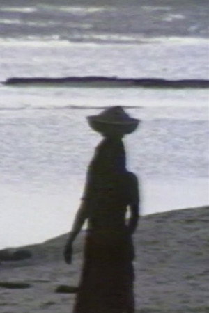 Sable