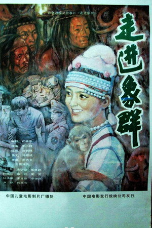 走进象群