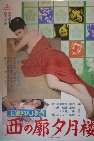 破处者：西区夕月楼